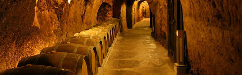 Wine Tasting Tour (Small Group)