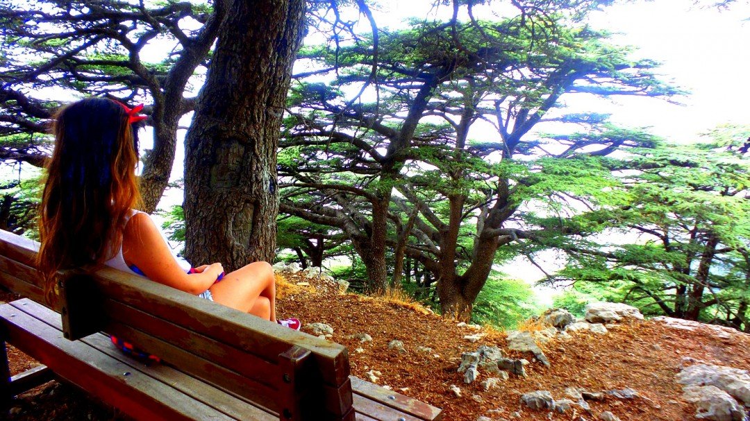 Deir Al-Qamar, Beiteddine Palace and Shouf Cedars Tour