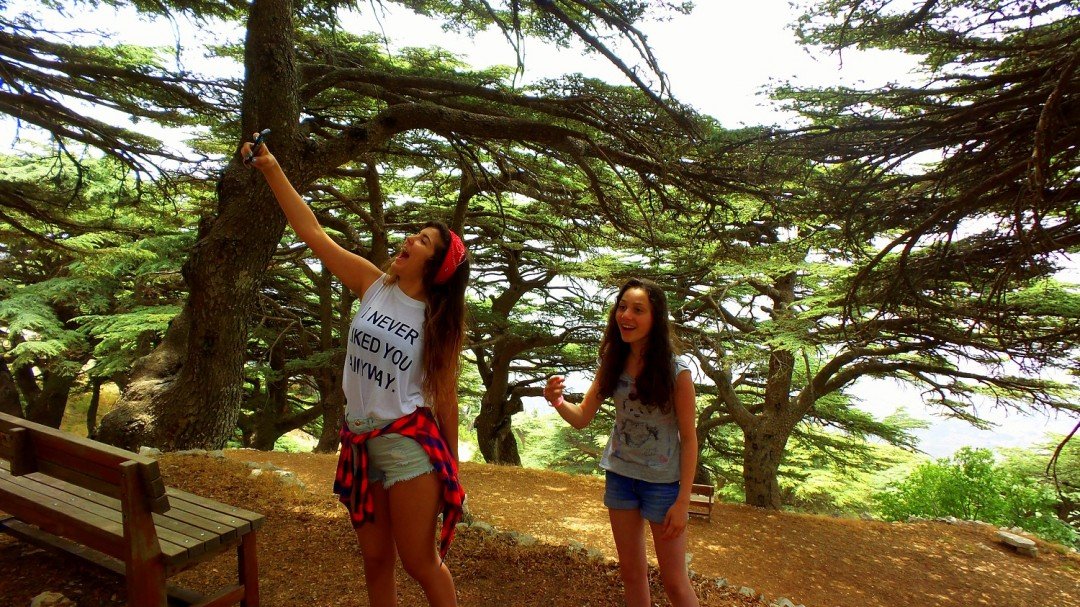 Deir Al-Qamar, Beiteddine Palace and Shouf Cedars Tour