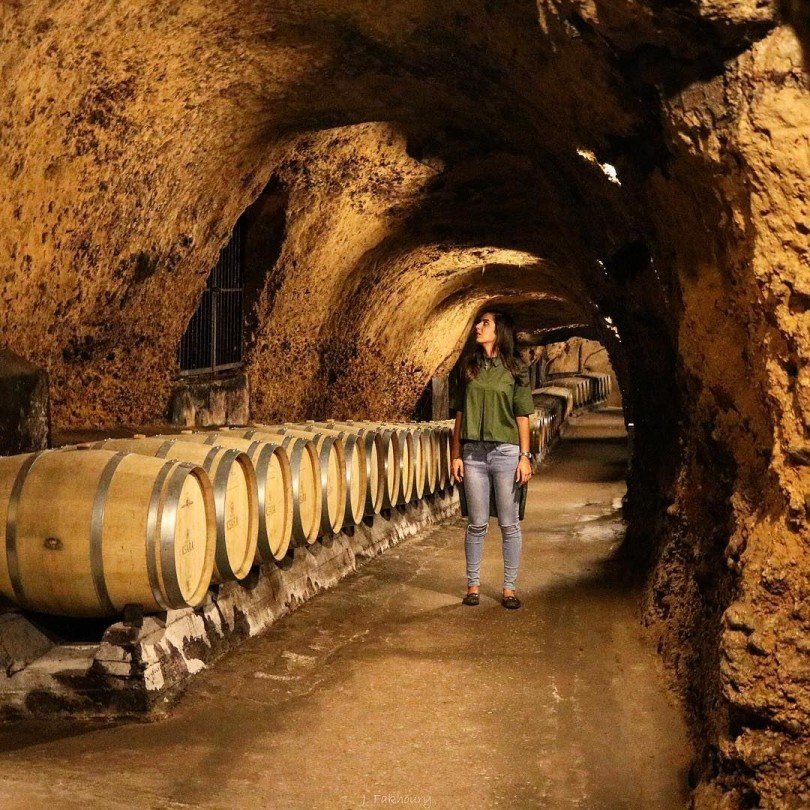 Wine Tasting Tour