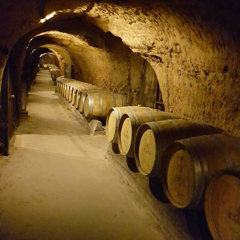 Wine Tasting Tour