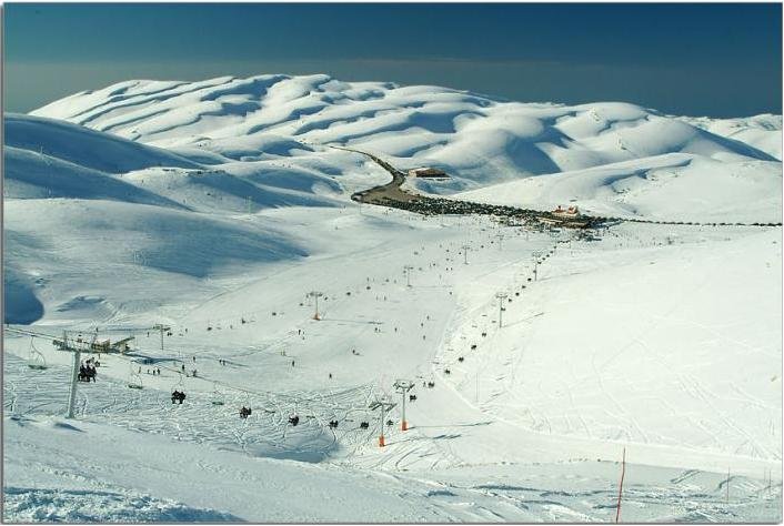 Faraya Tour